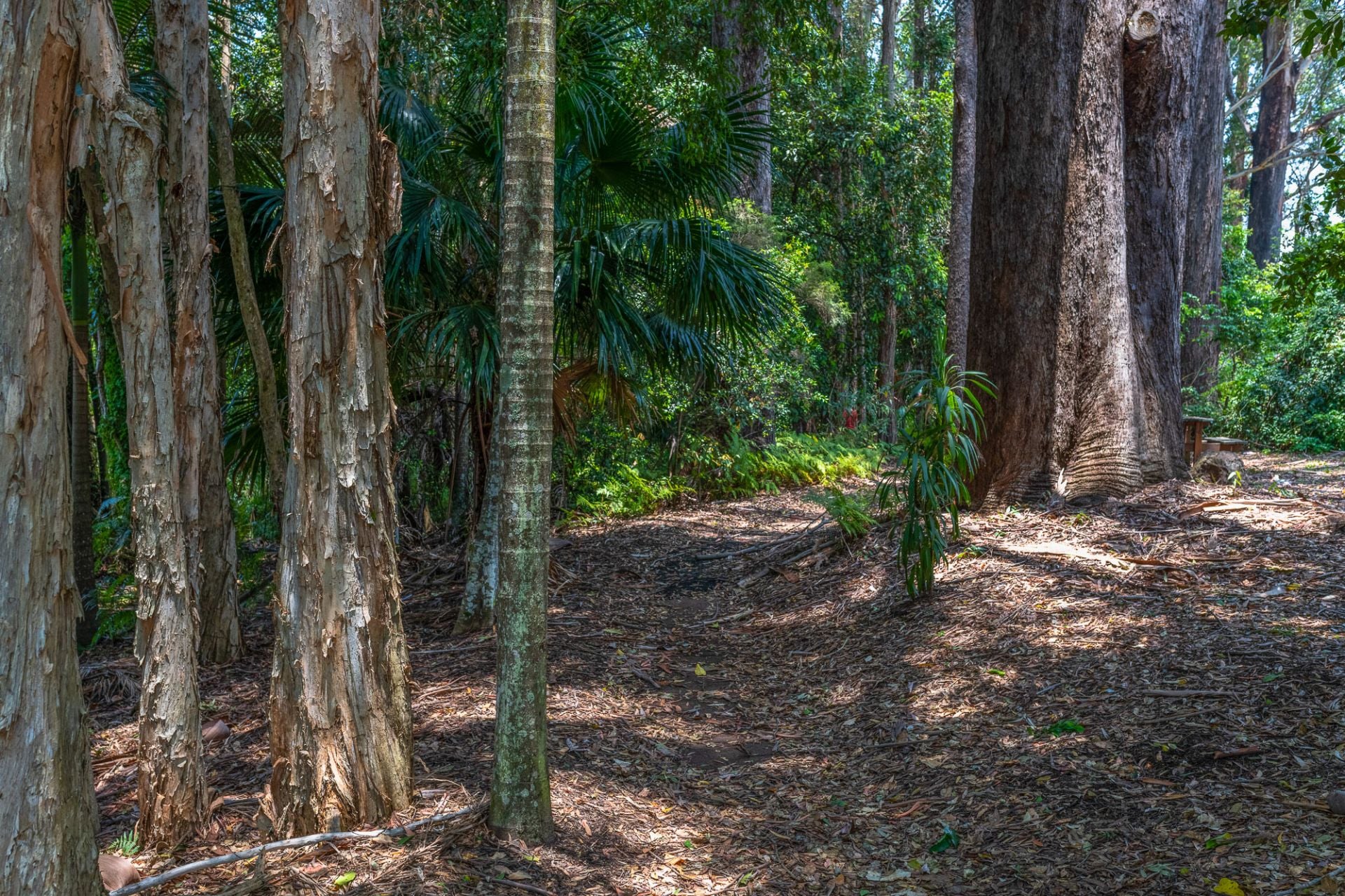 15/31 Abbotts Road Palmwoods QLD, Palmwoods - Thumbnail 7