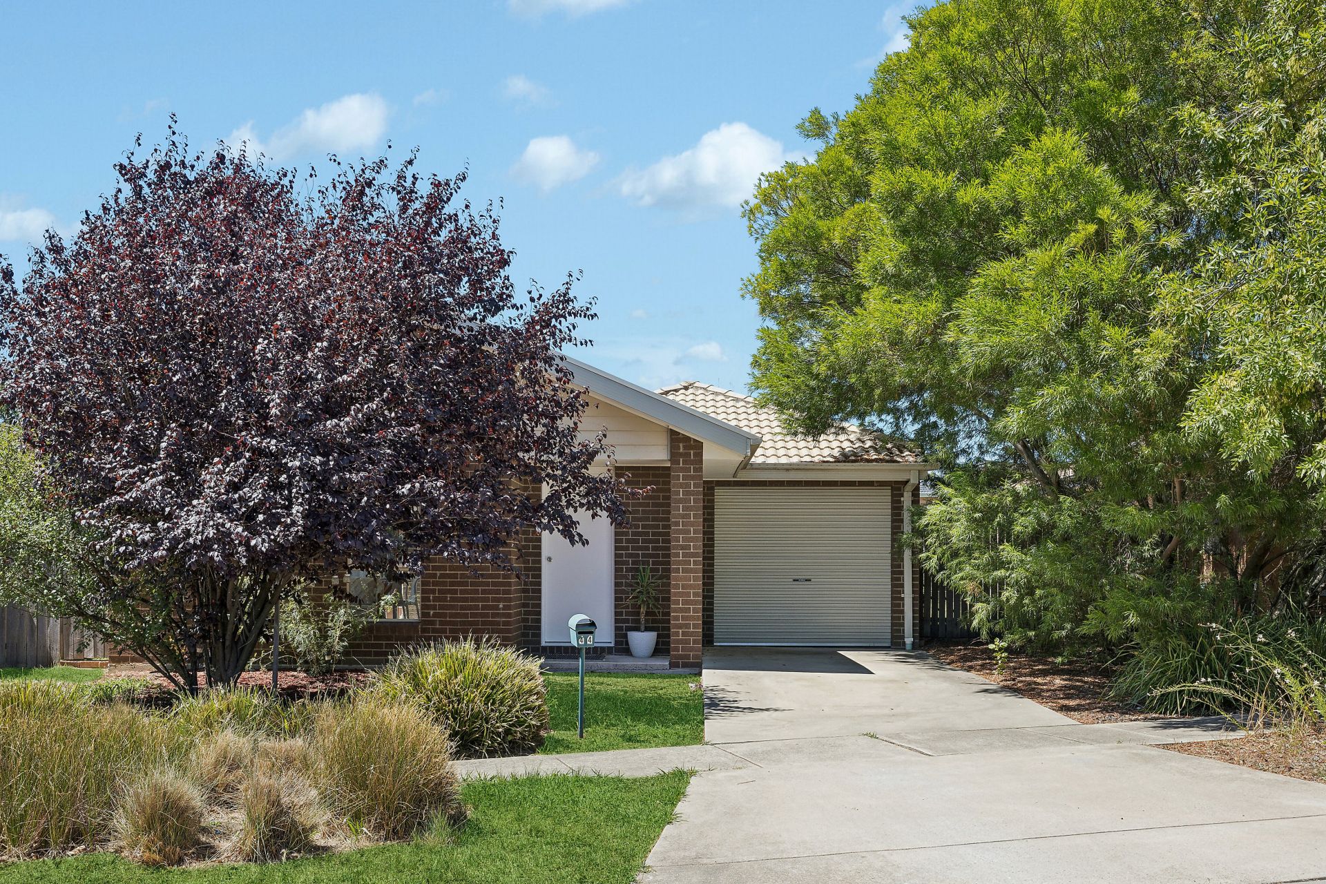 44 John Holt Street, Macgregor, Macgregor - Thumbnail 3