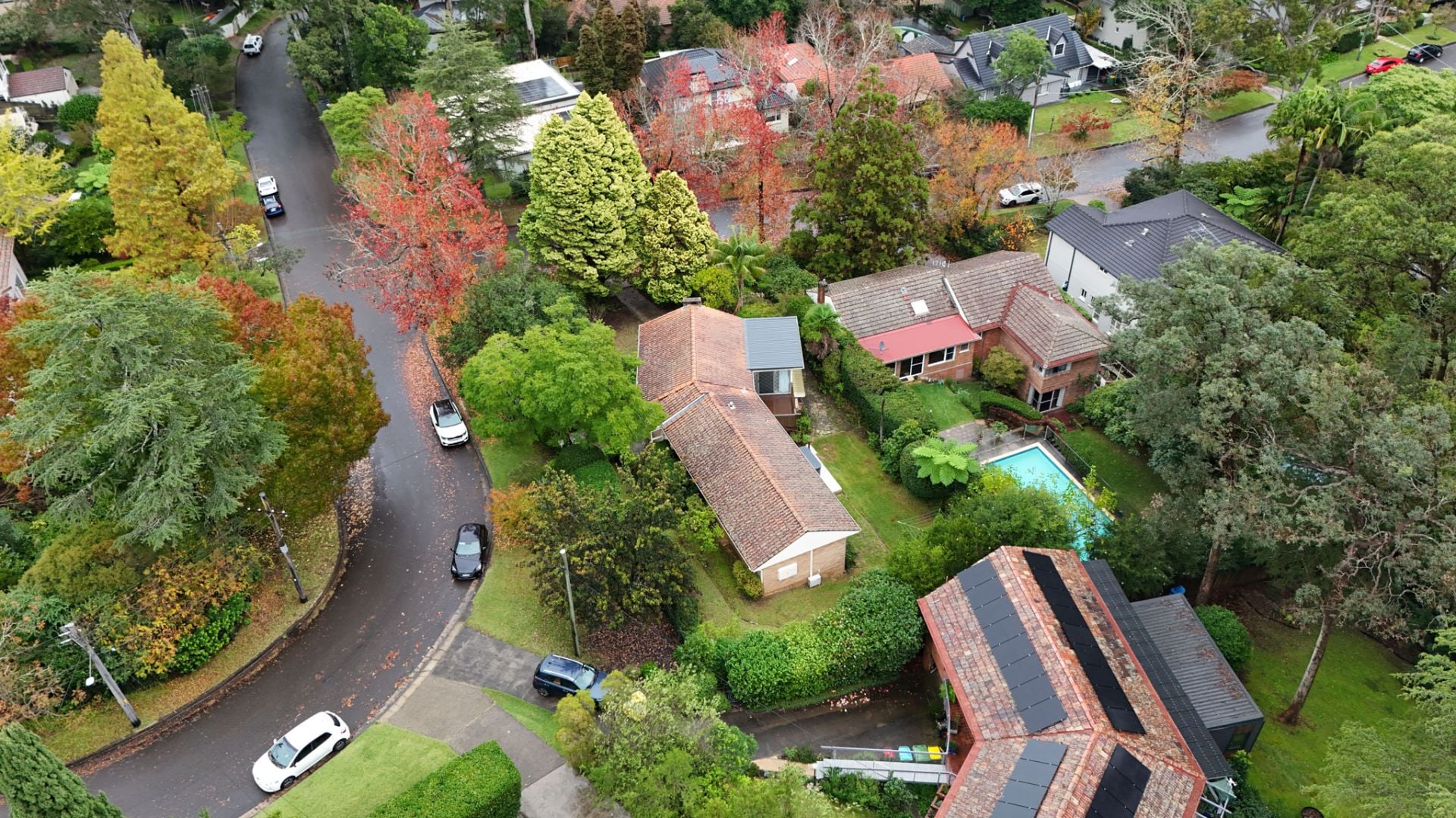 1 Jubilee Avenue, Pymble, Pymble - Thumbnail 4