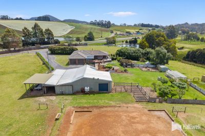 11864 Bass Highway, West Ulverstone, West Ulverstone - Thumbnail 4