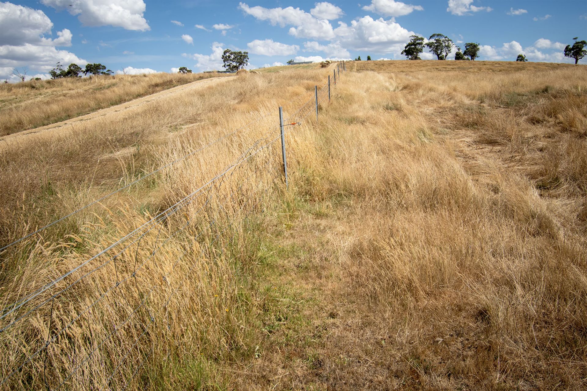 38 Greendale - Myrniong Road, Greendale - Thumbnail 4
