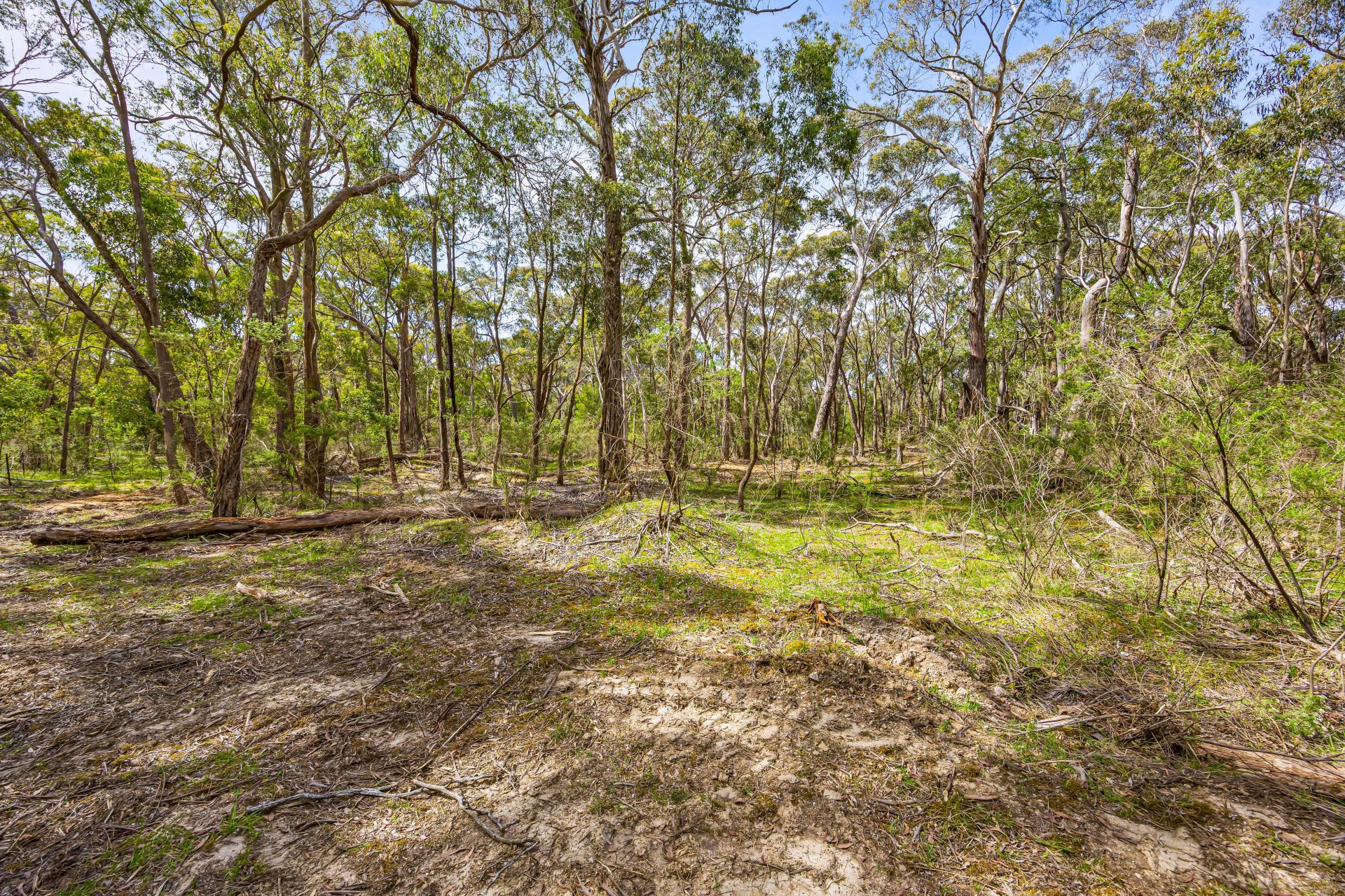 3/ Victoria Road Scarsdale VIC, Scarsdale - Thumbnail 7