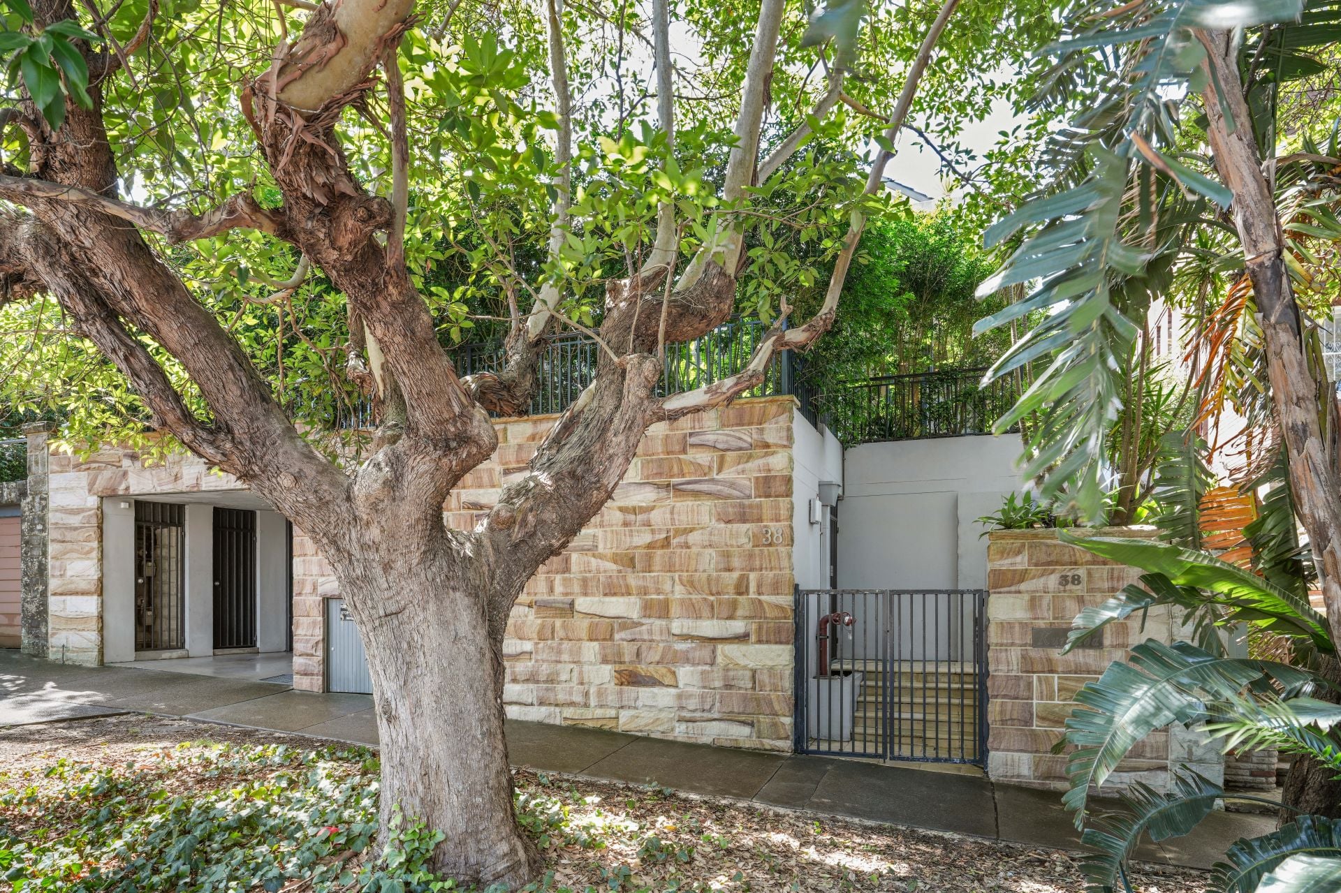 2/38 Birriga Road Bellevue Hill NSW, Bellevue Hill - Thumbnail 8