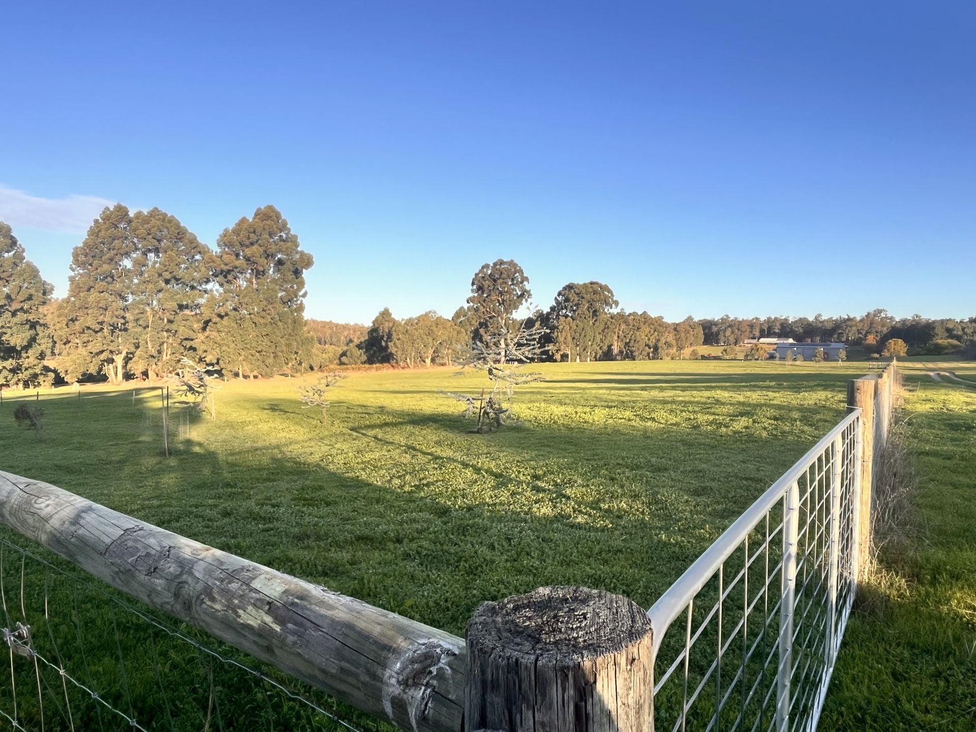 Farm For Sale - WA - Dwellingup - 6213 - RARE 11 ACRES CLEARED LAND, OFF GRID SET UP IN DWELLINGUP 90 MINS FROM PERTH 
