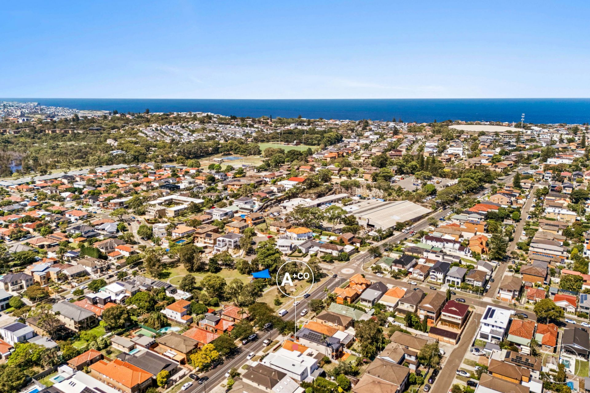 191 Storey Street, Maroubra, Maroubra - Thumbnail 4