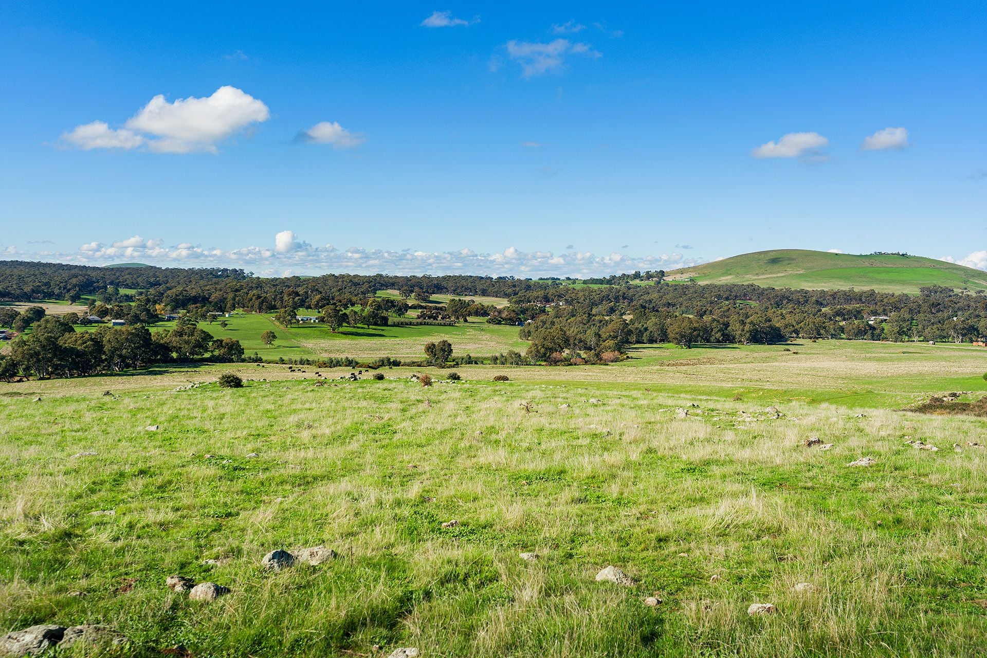 Lot 29/ Mt Greenoch Road, Red Lion VIC 3371