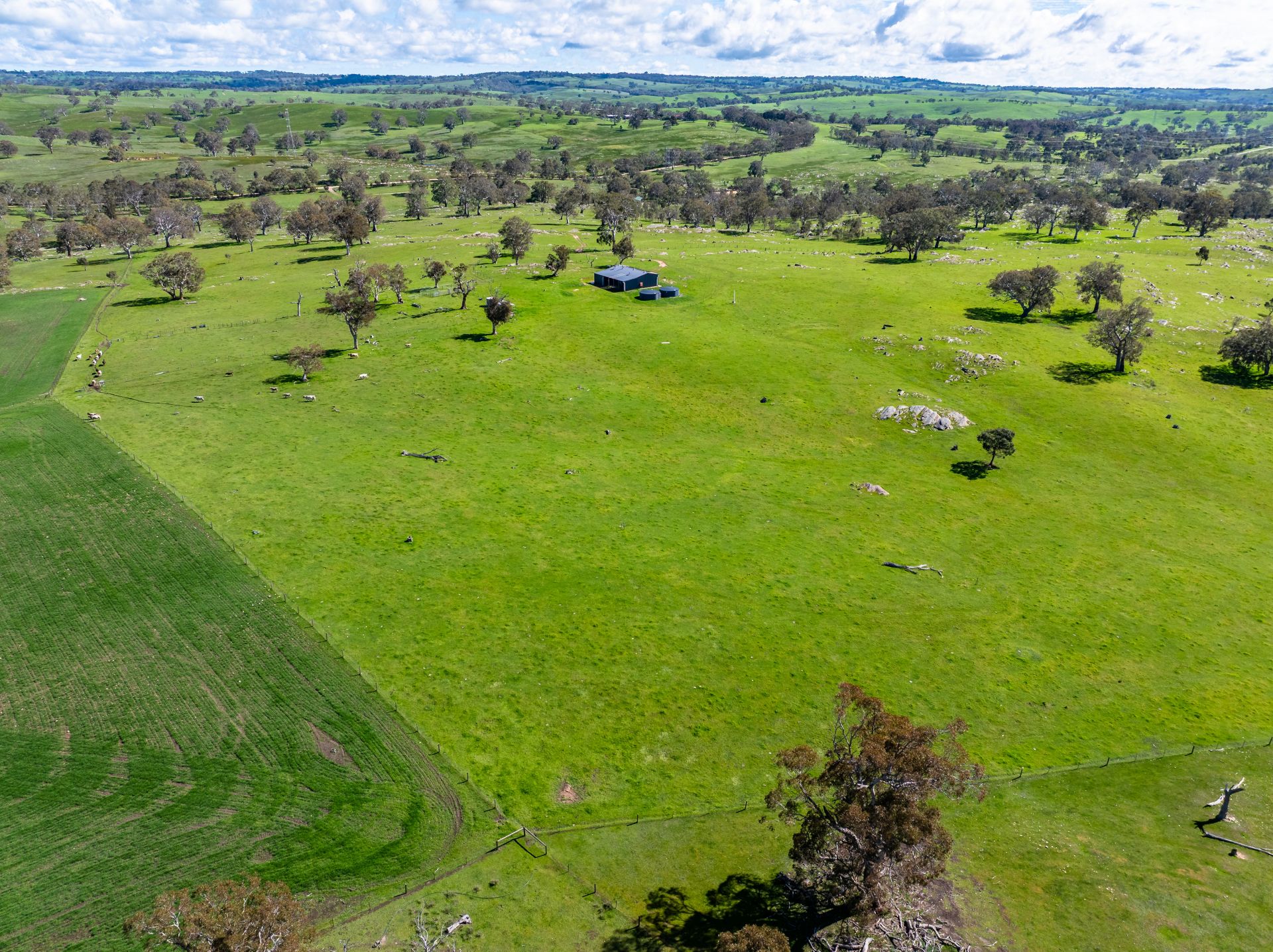 951 Black Heath Road, Tungkillo SA, Tungkillo - Thumbnail 3