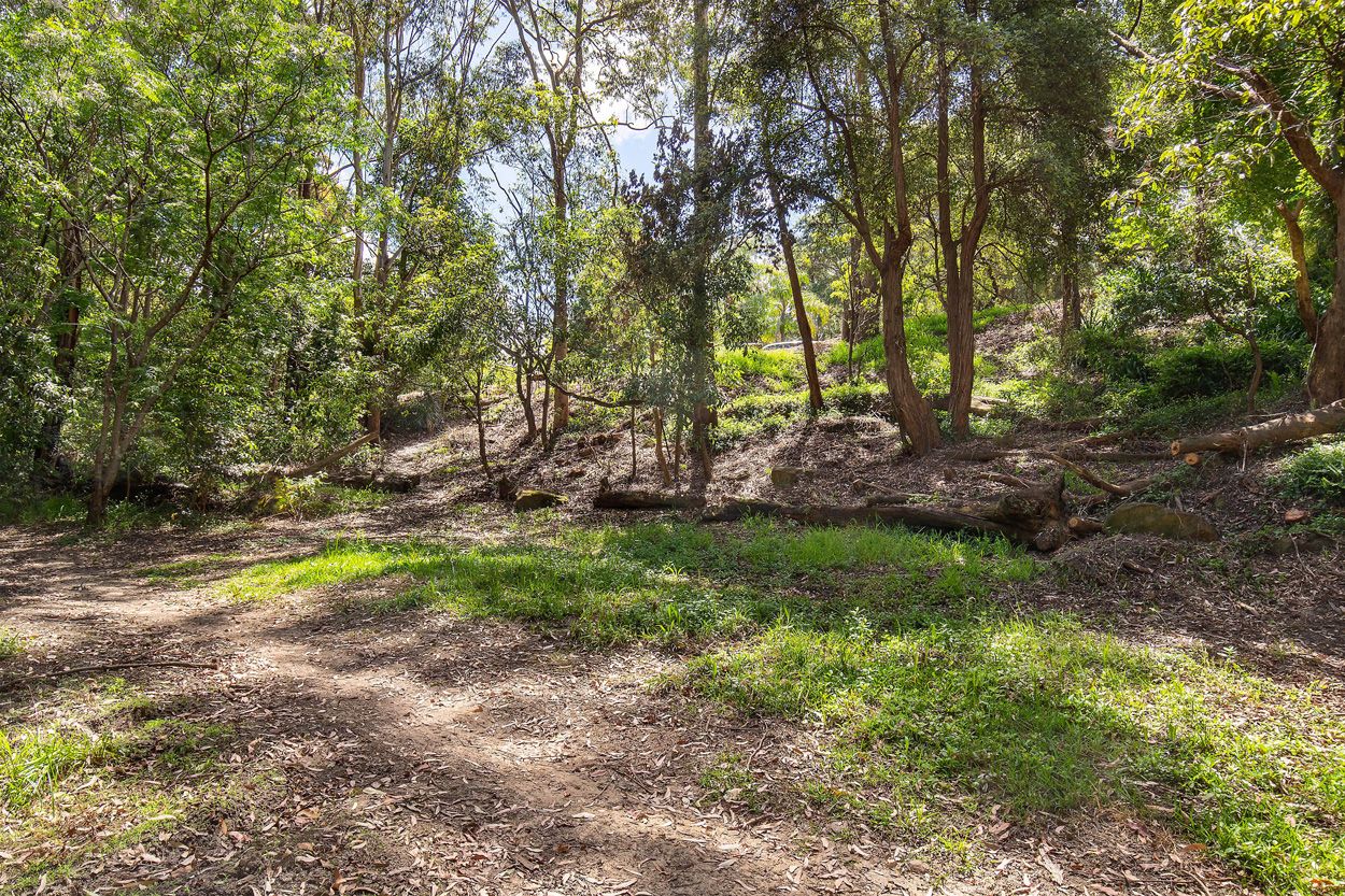 77 Mount Pleasant Avenue, Wahroonga, Wahroonga - Thumbnail 3