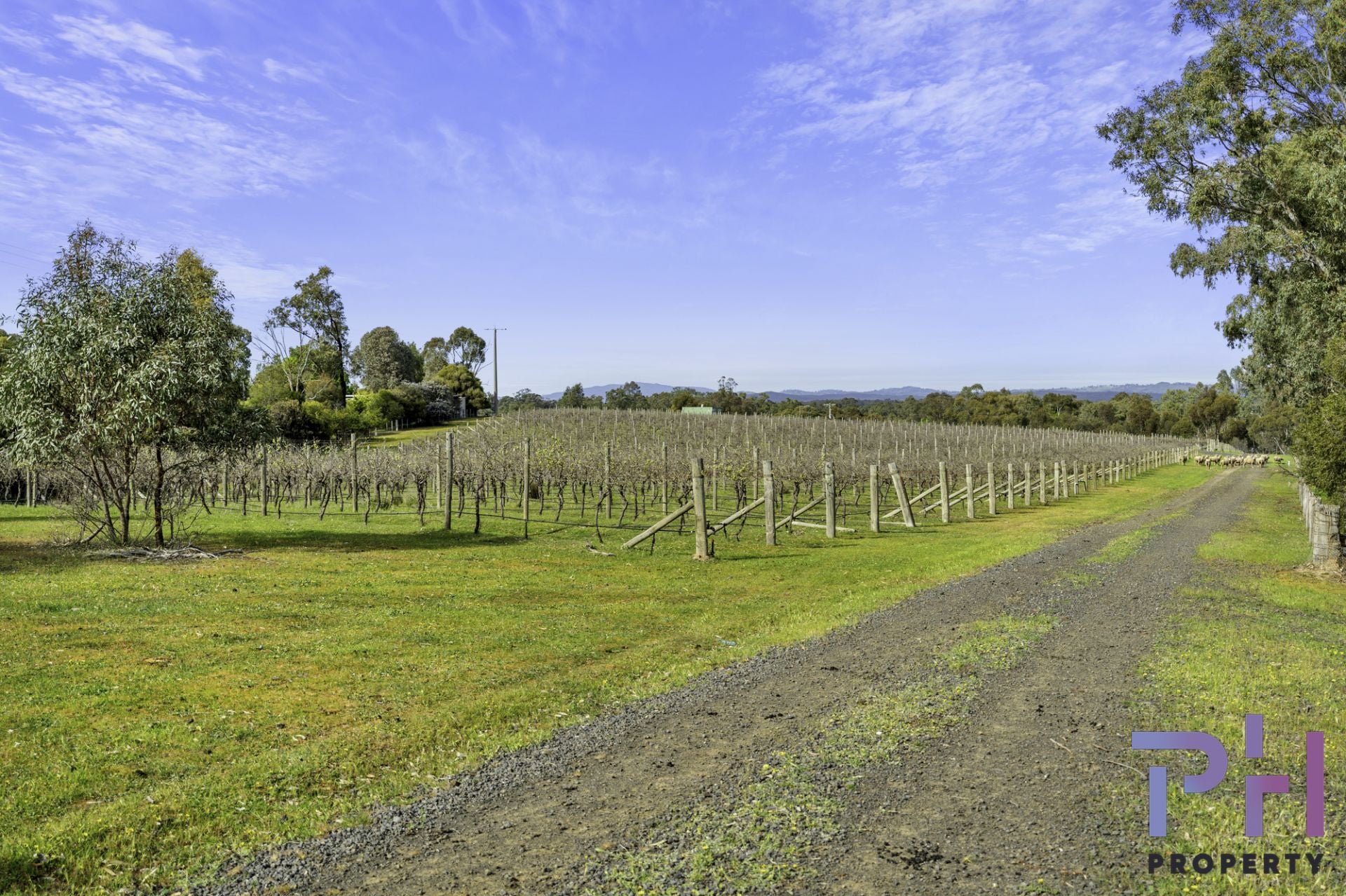 384A Sinclairs Road Strathfieldsaye VIC, Strathfieldsaye - Thumbnail 6