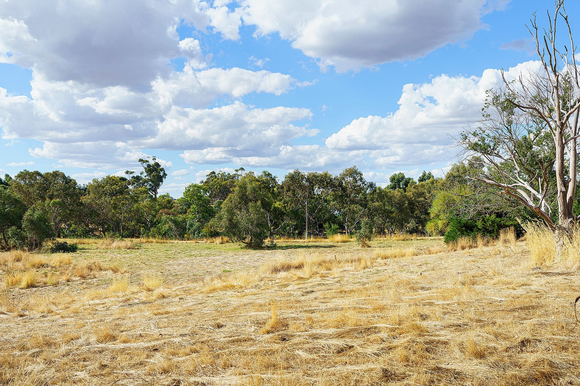 Lot 3/ Smythe Street, Skipton VIC 3361