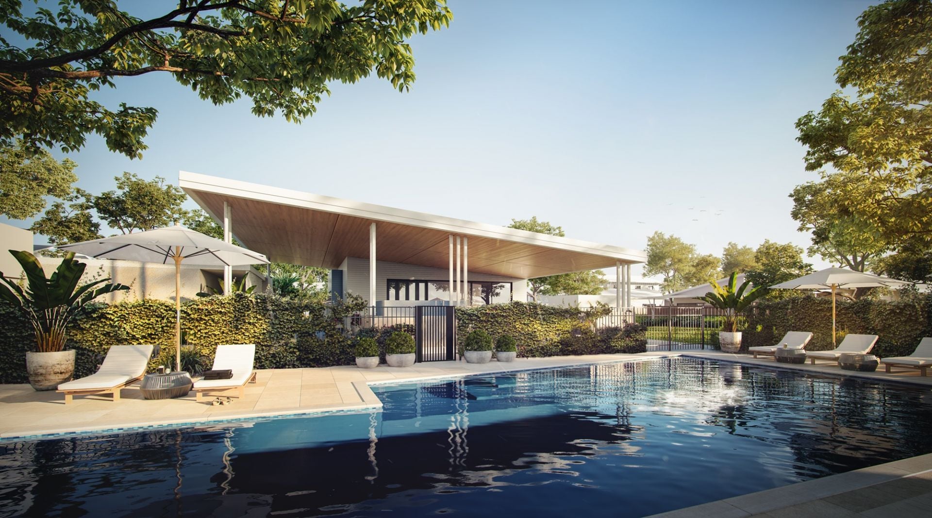 203/223 Broadwater Avenue Maroochydore QLD, Maroochydore - Thumbnail 8
