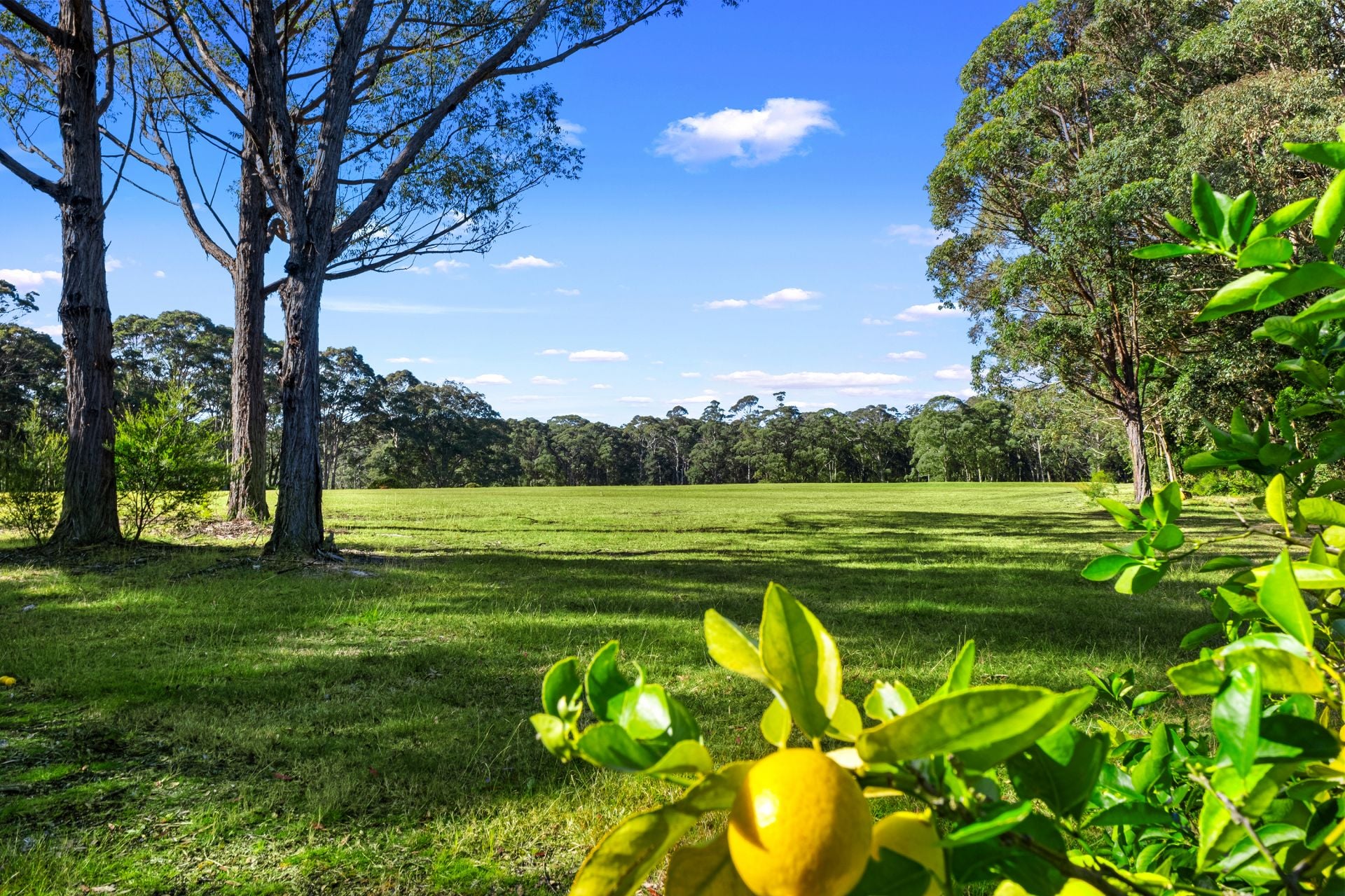 1218 Mountain Lagoon Road, Bilpin, Bilpin - Thumbnail 3