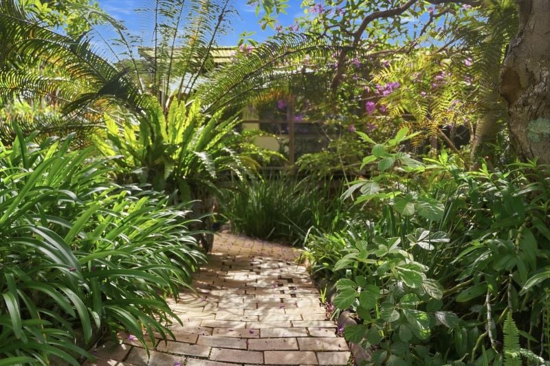 Renovator's Opportunity - Priced to Sell in Bellingen