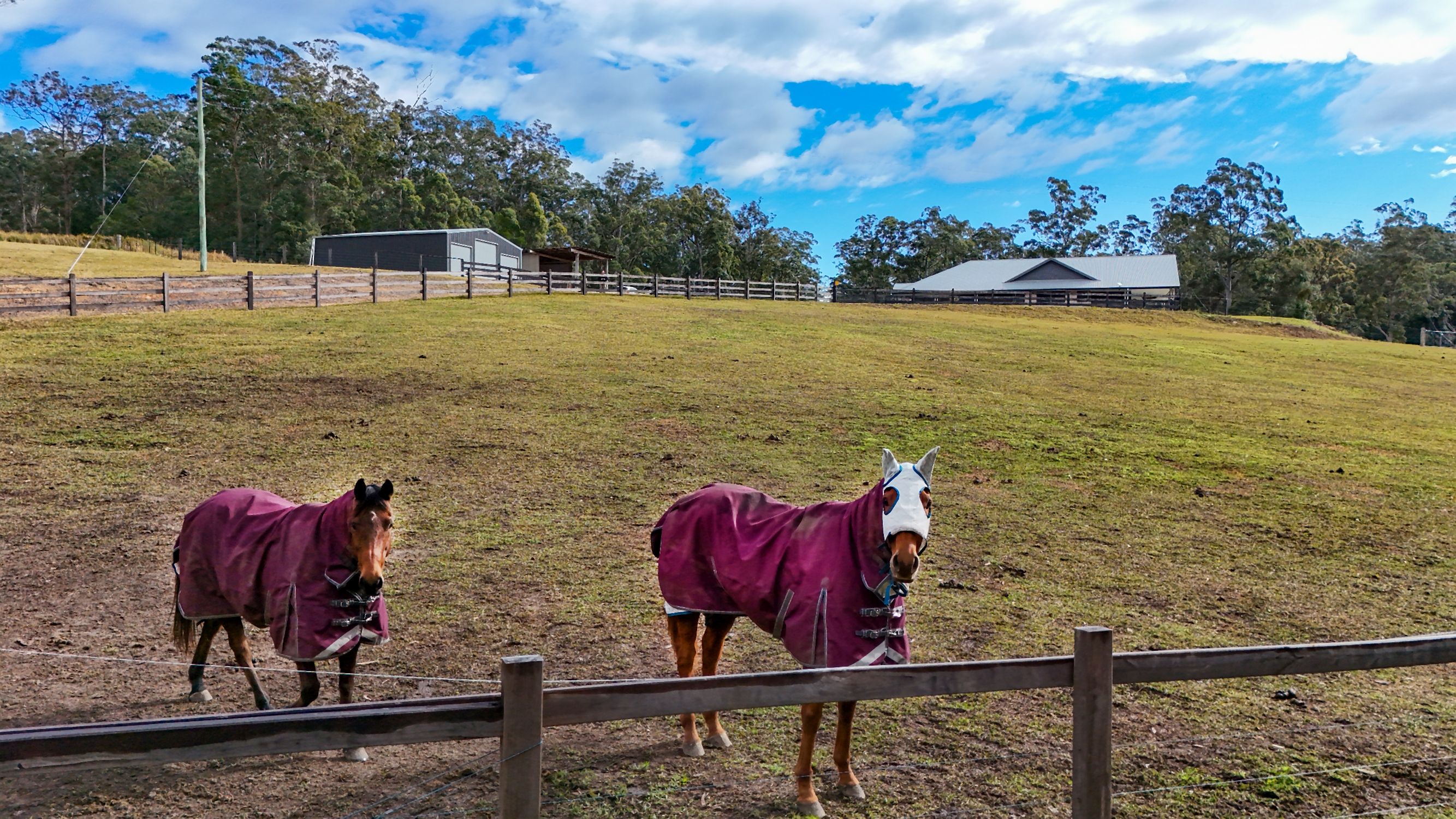 354 Brookhouse Rd, PEMBROOKE NSW 2446