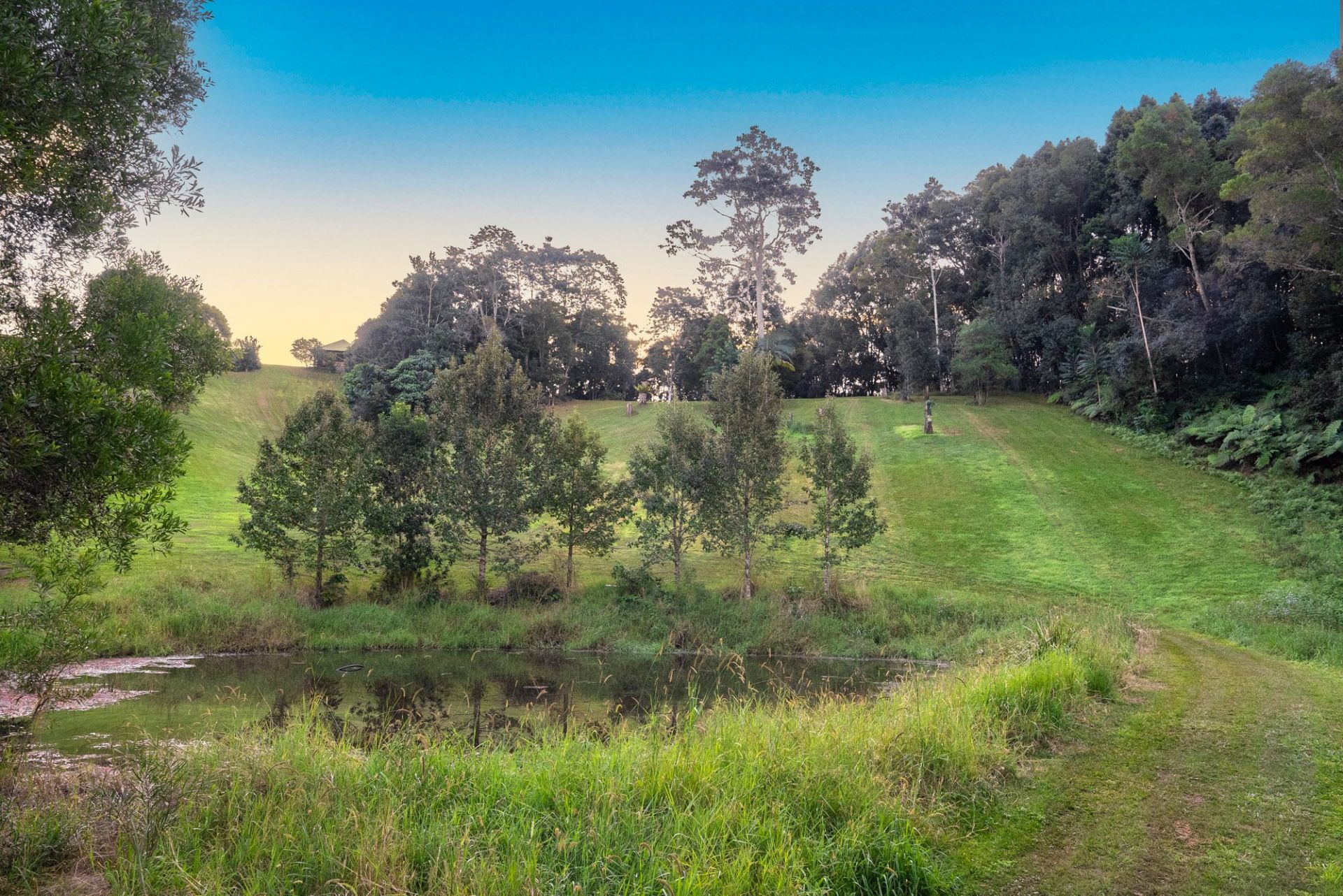 $ 2,560,000, Nobbys Creek - Thumbnail 7