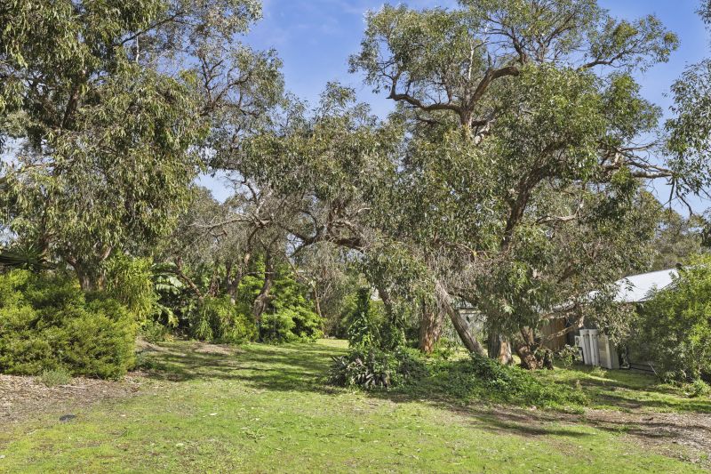 71 Fraser Avenue Anglesea VIC, Anglesea - Thumbnail 8