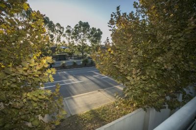 9/35 Brushfoot Boulevard, Success
