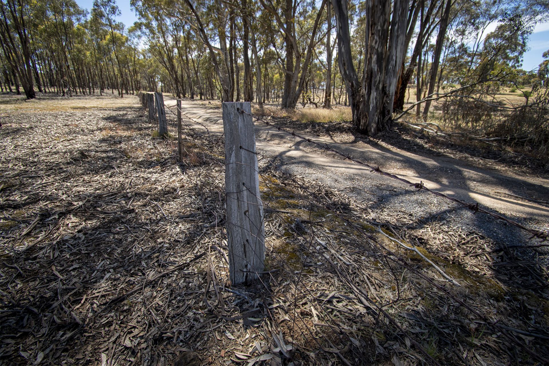 35 Middle Road, Dunolly - Thumbnail 3