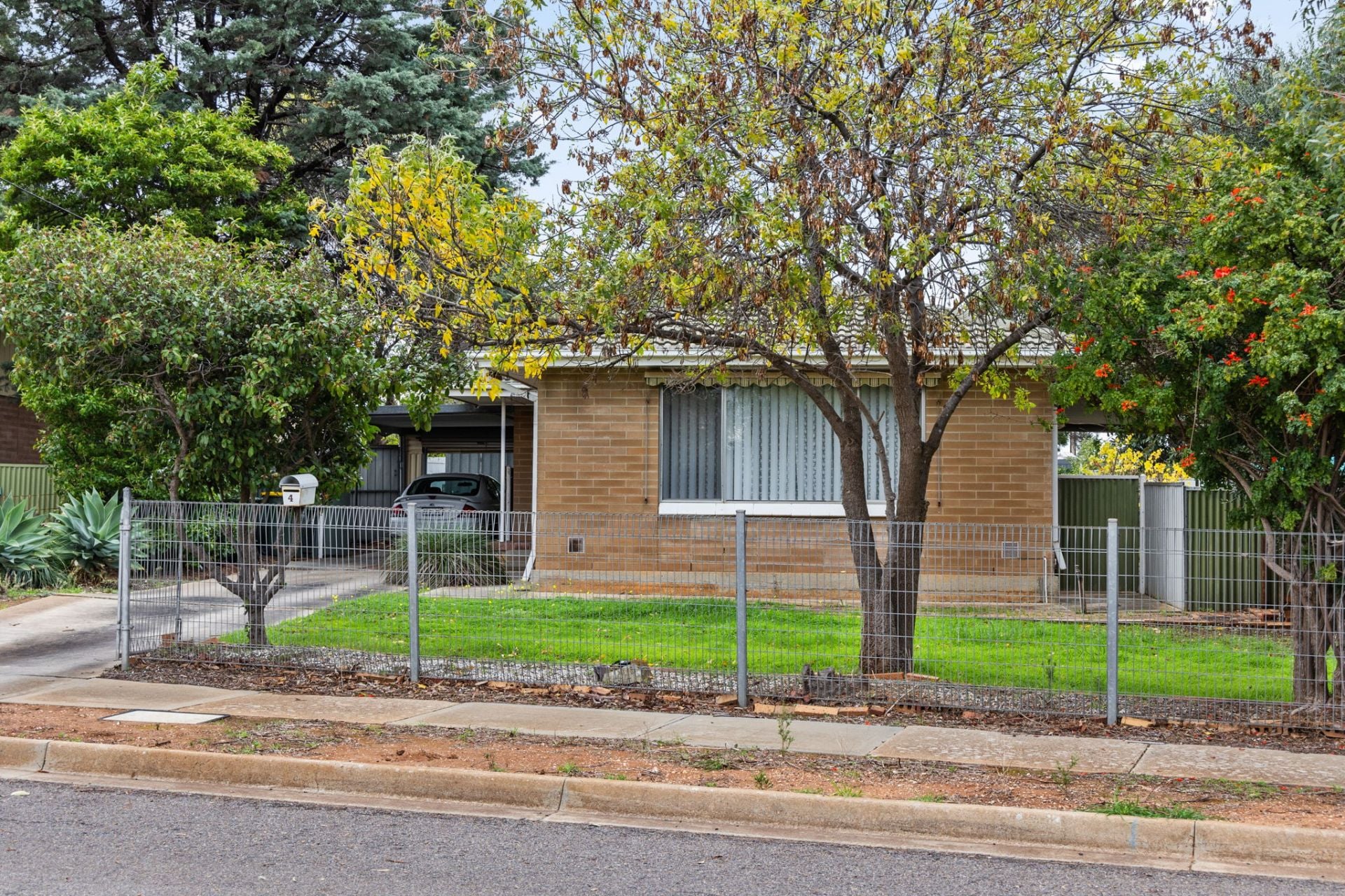 Christie Downs, Christie Downs - Image 1