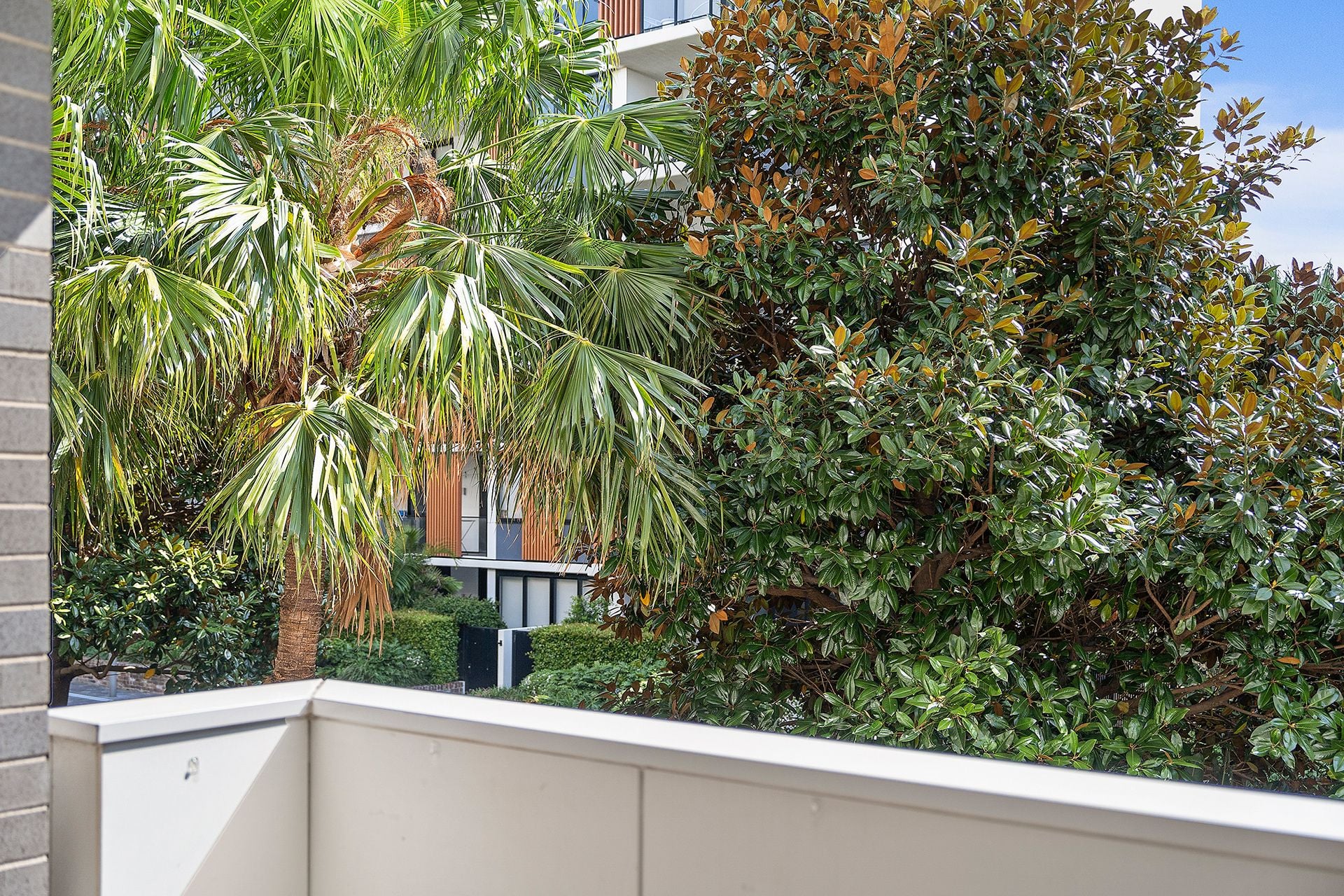 3102/55 Wilson Street Botany NSW, Botany - Thumbnail 6