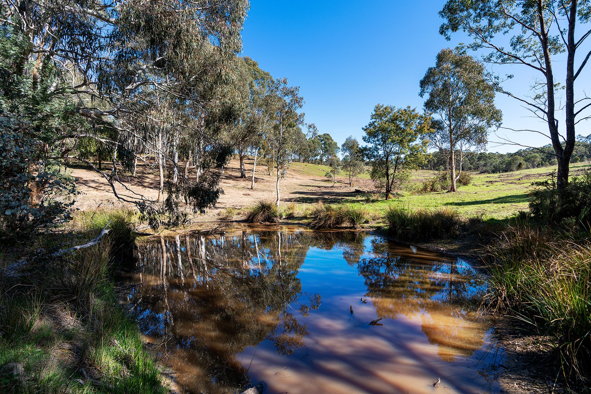 255 Taradale Road Drummond North, Drummond North - Thumbnail 6