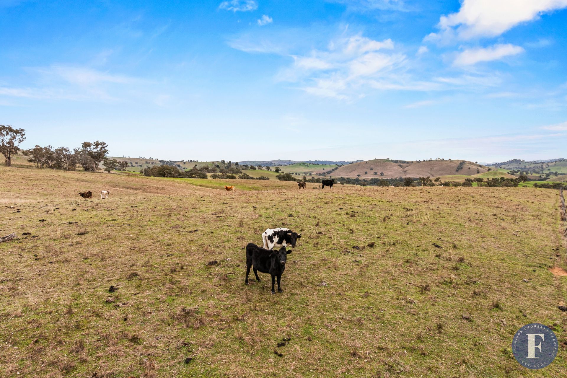 458 Ironbark Lane, Frogmore NSW, Frogmore - Thumbnail 6
