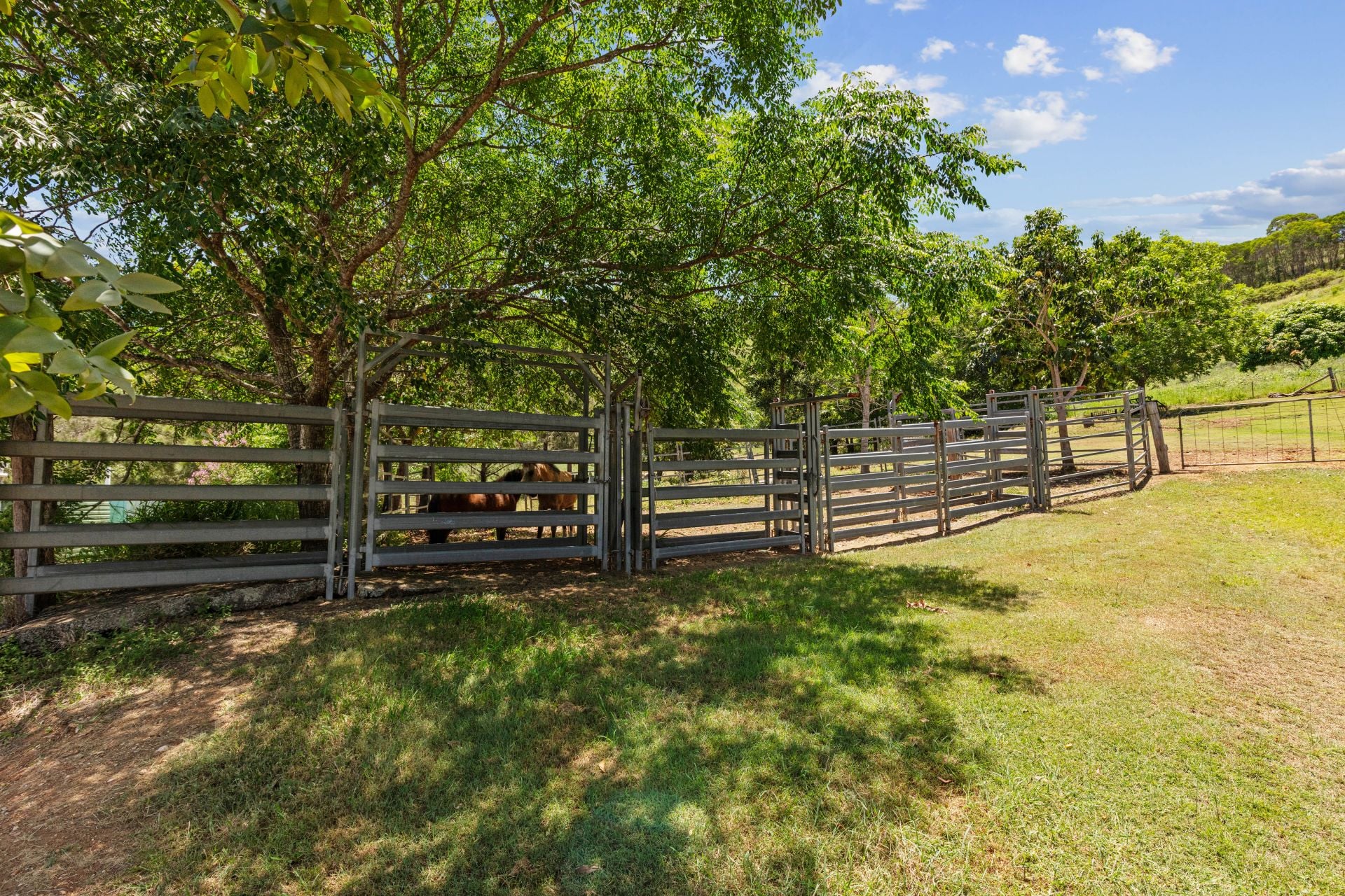 147 Geiger Road, Upper Glastonbury - Thumbnail 5