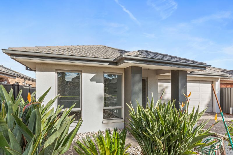 38 Pine Park Drive, Wollert