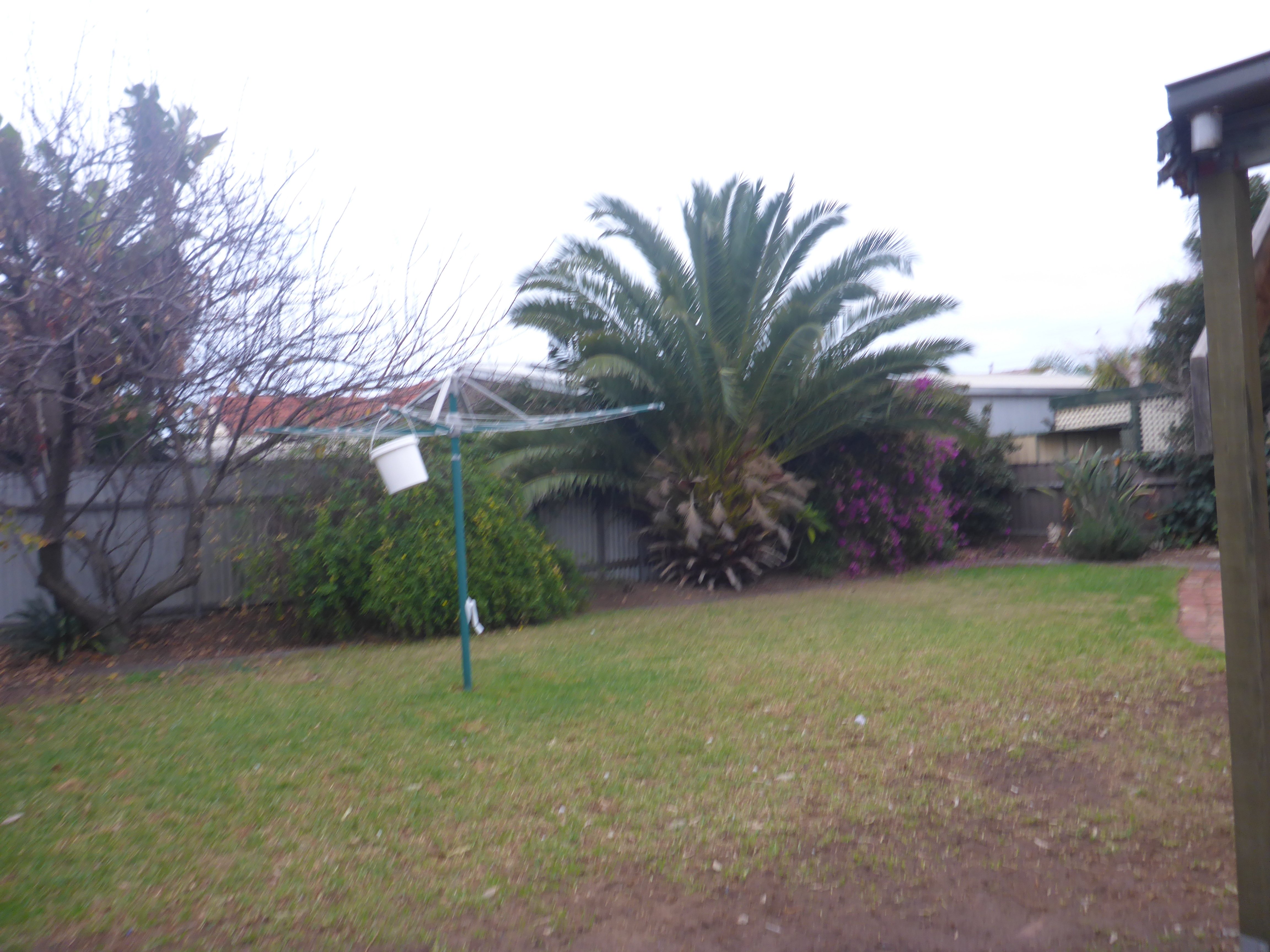 60 Bower Road Semaphore Park 5019