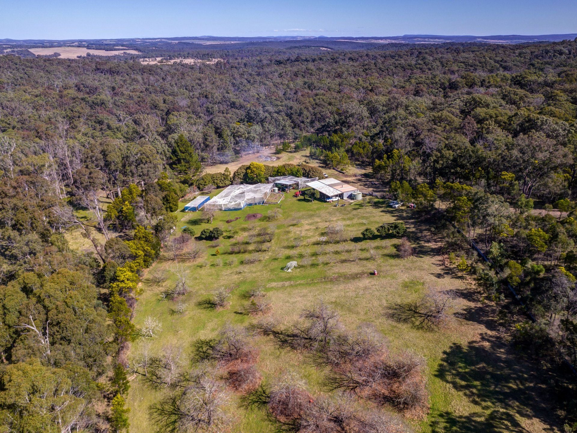 170 Wattle Flats Road, Canyonleigh NSW, Canyonleigh - Image 1