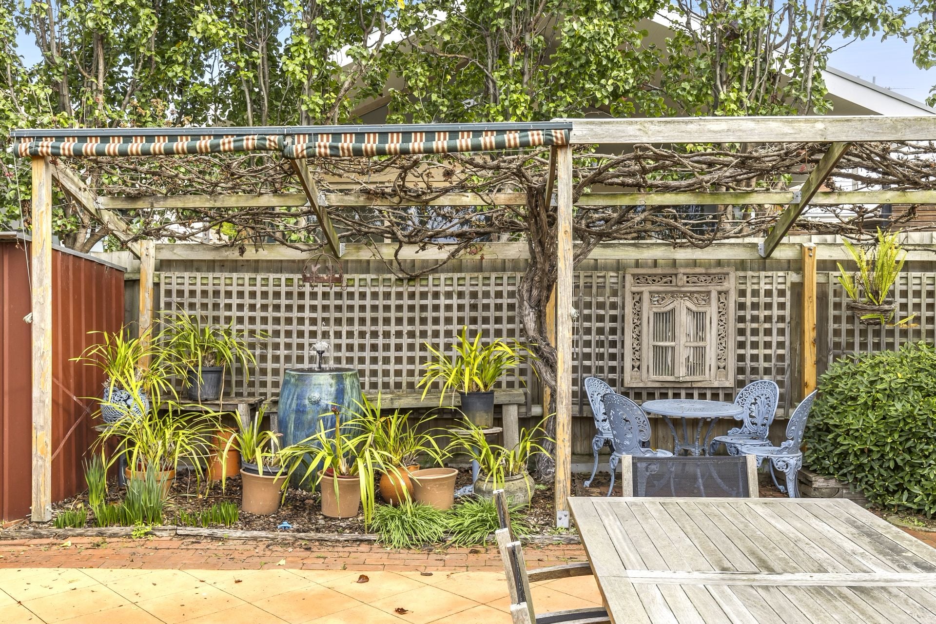 51 Mervyn Street, Newtown VIC, Newtown - Thumbnail 8