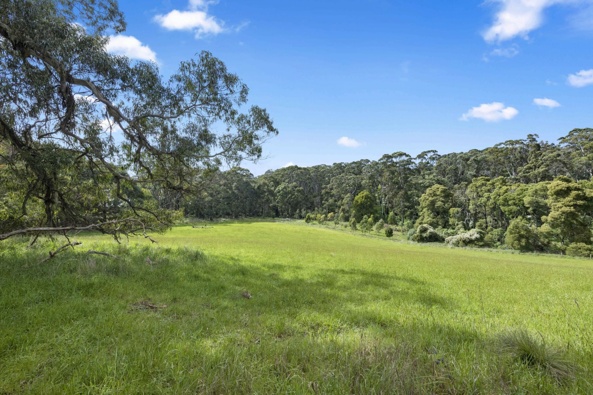 110 Stony Creek Road, Red Hill, Red Hill - Thumbnail 4