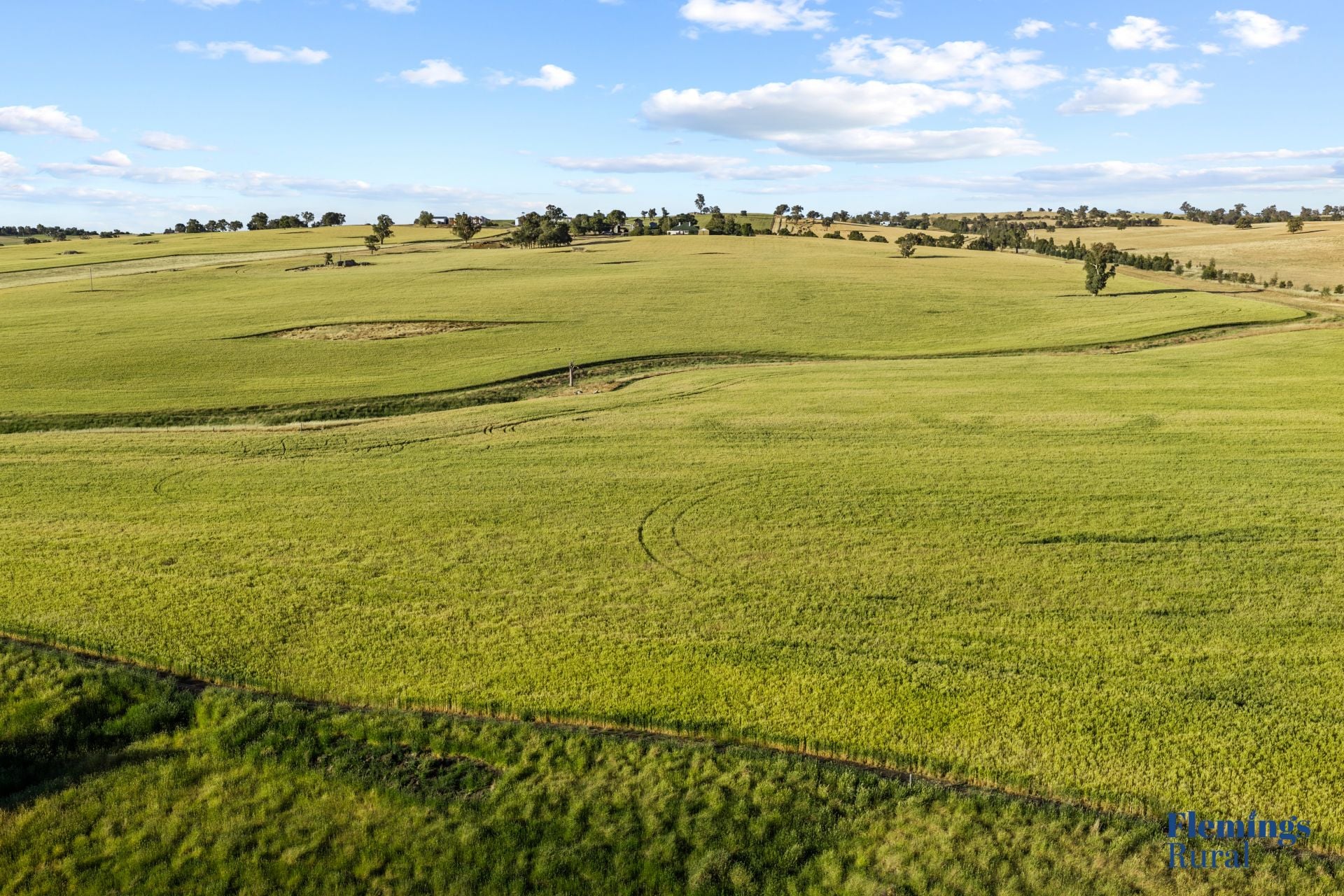 170 Kanoona Road, Harden NSW, Harden - Thumbnail 2