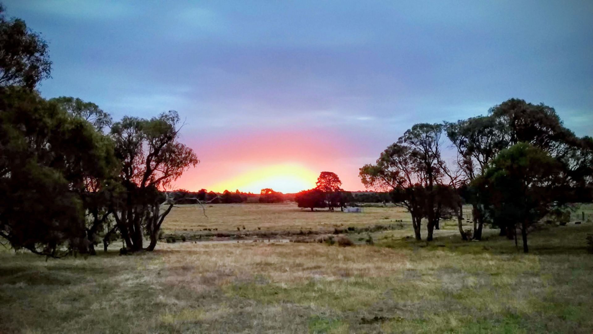 722B Tannery Road, Snake Valley, Snake Valley - Thumbnail 4