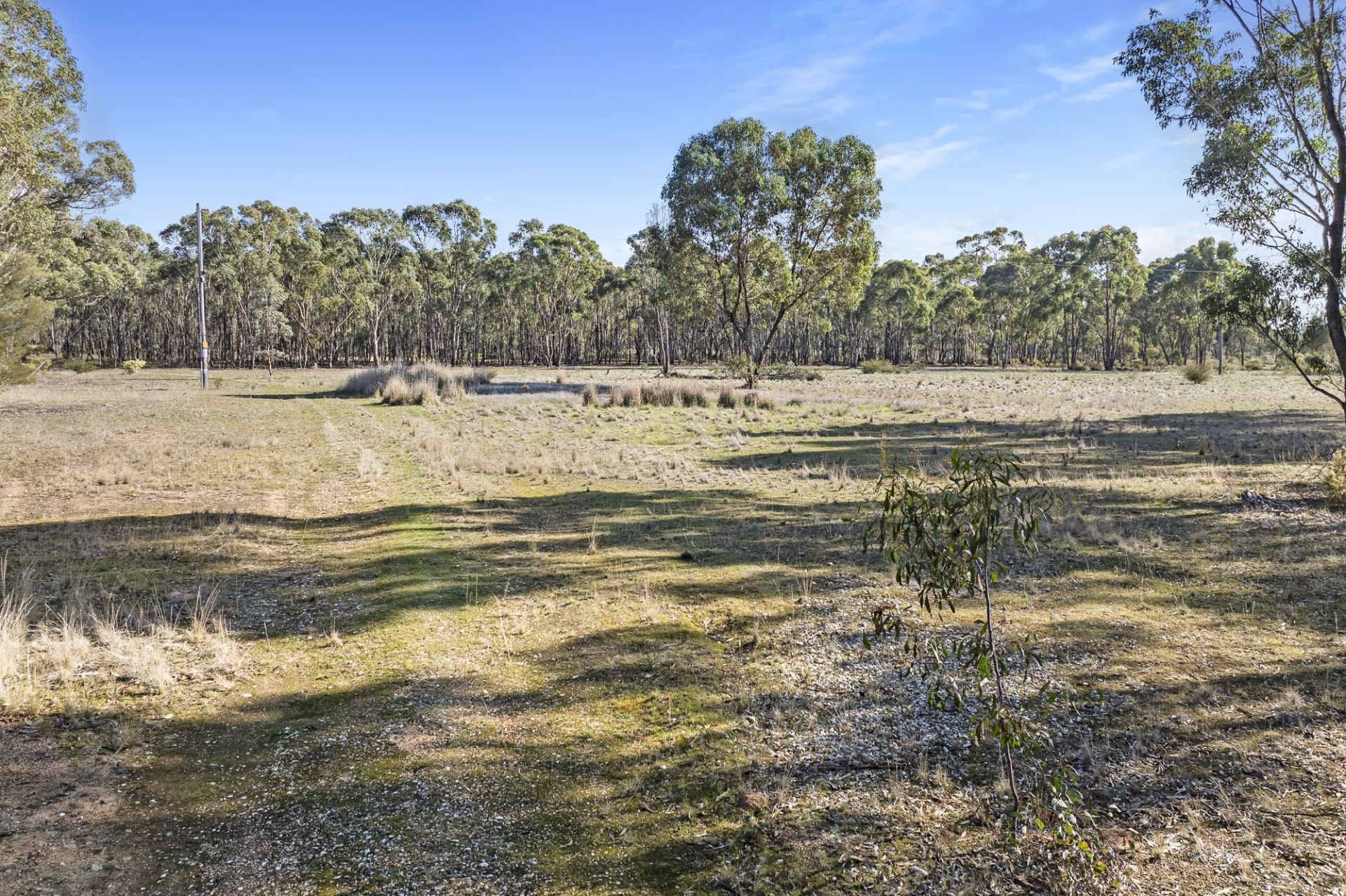 CA SEC 4C/PART OF 63 Maryborough-Dunolly Road, Havelock - Thumbnail 7