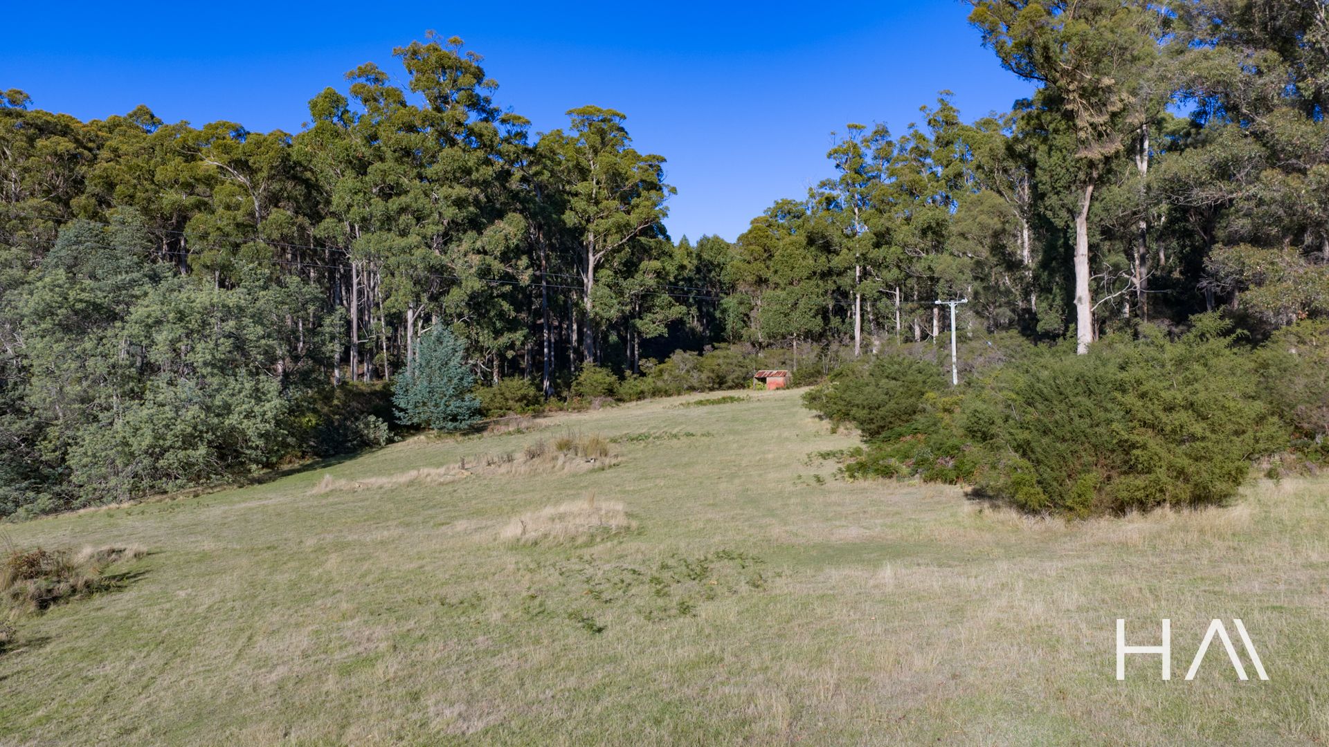 2235 Pipers River Road Pipers River, Pipers River - Thumbnail 3
