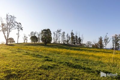 Maloneys Road, Sunnyside, Sunnyside - Thumbnail 4