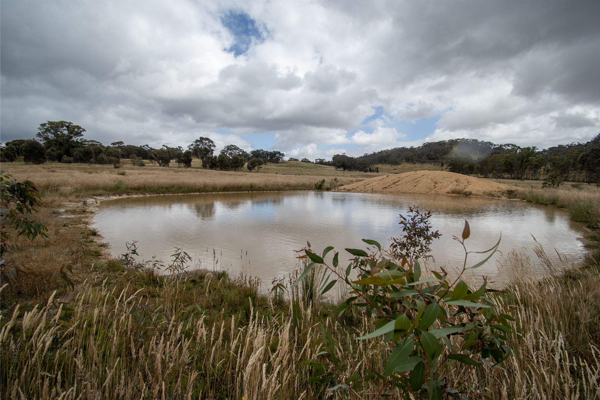 Lot 4,  Moyreisk-Redbank Road, Redbank, Moyreisk-Redbank Road - Thumbnail 5