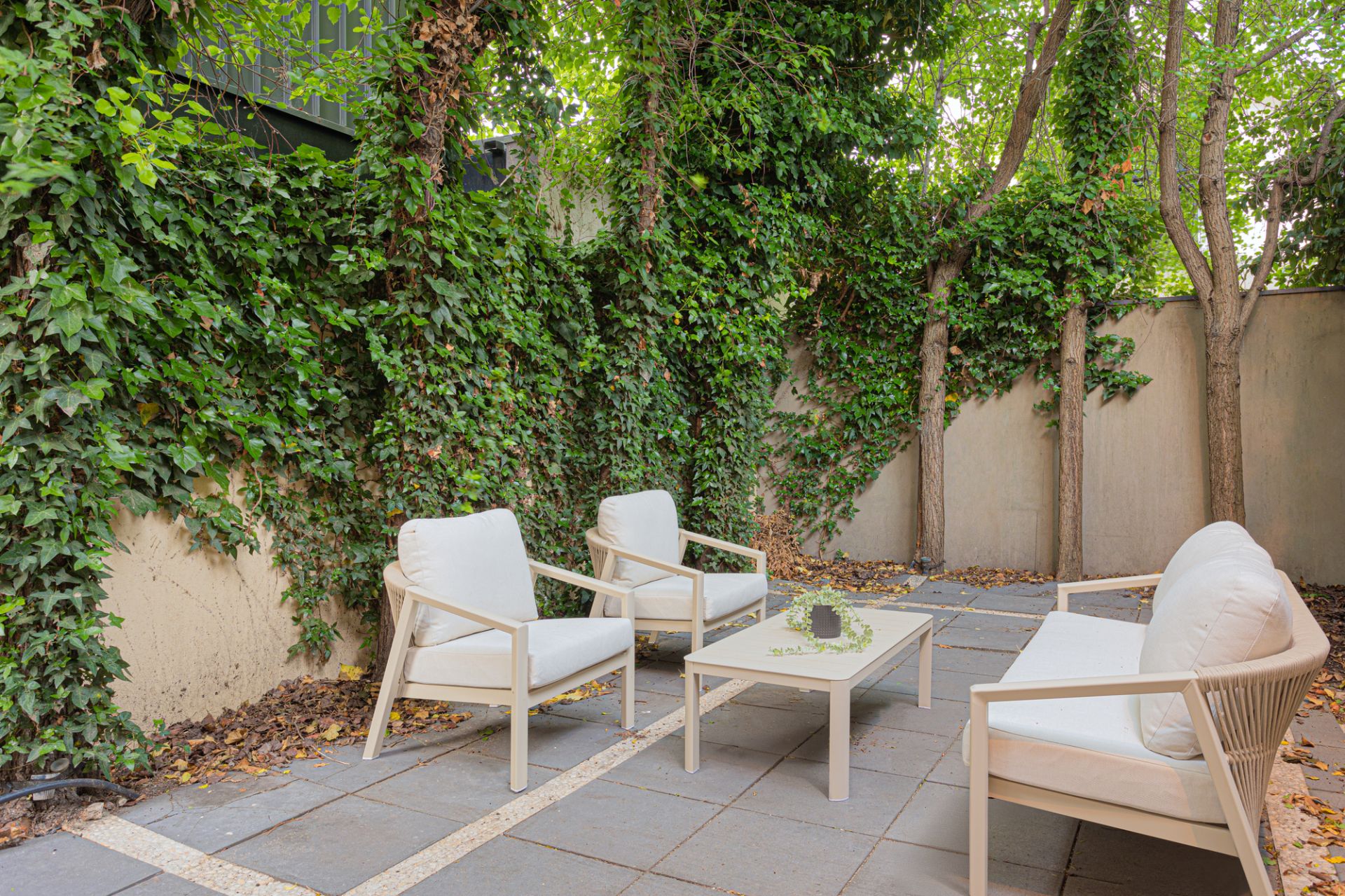 221 Richardson Street, Middle Park, Middle Park - Thumbnail 7
