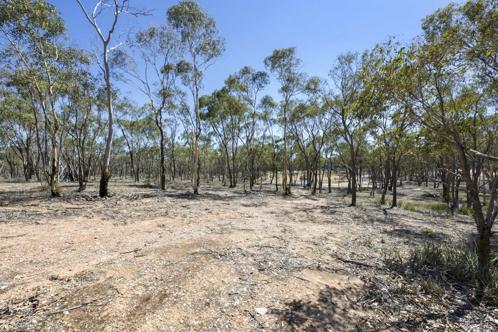 21 Lyle Lead Road, Moonlight Flat - Thumbnail 6