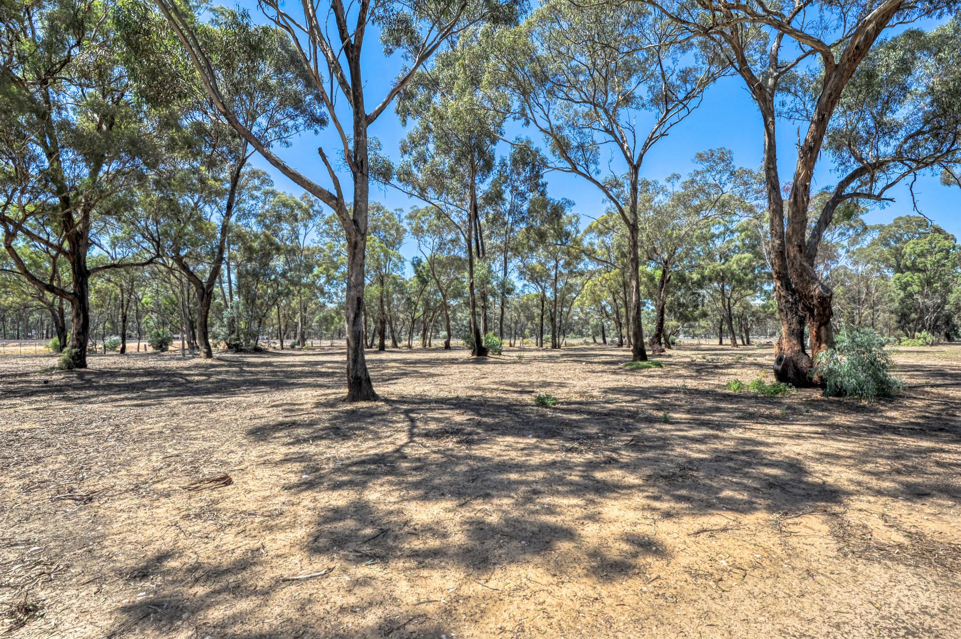 13 Raglan Street, Dunolly - Thumbnail 8