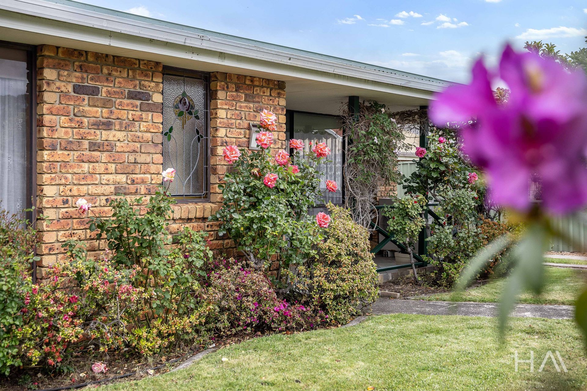 1 Picadilly Court Prospect Vale, Prospect Vale - Thumbnail 3