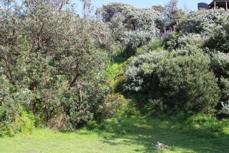 71 Jupiter Boulevard, Venus Bay VIC, Venus Bay - Thumbnail 5