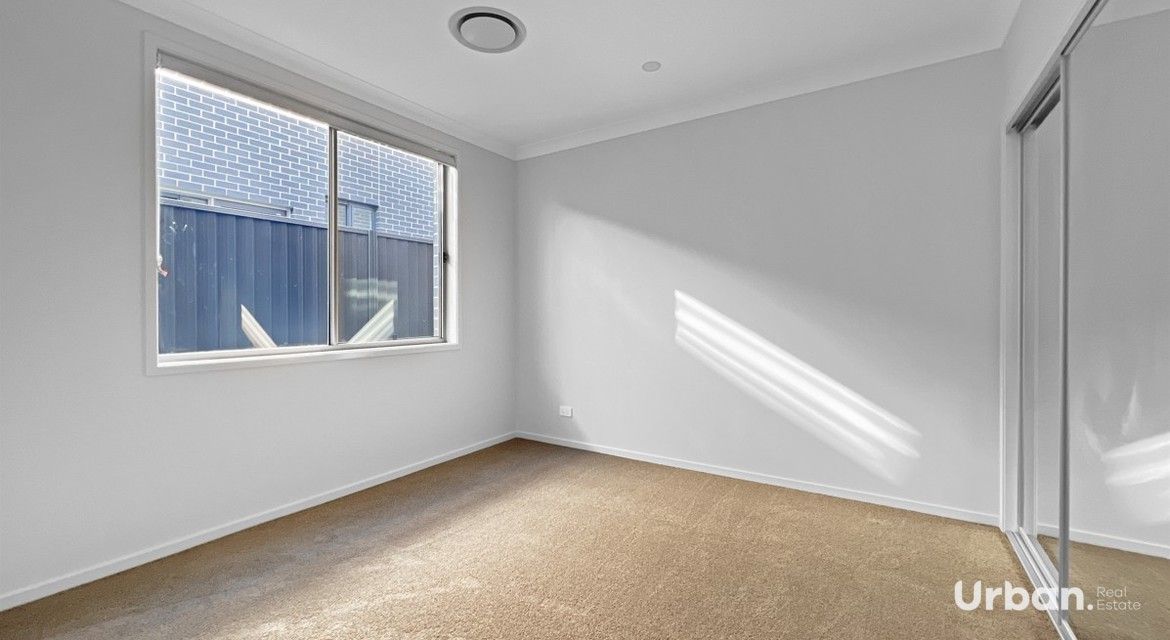 Austral 44 Filly Road