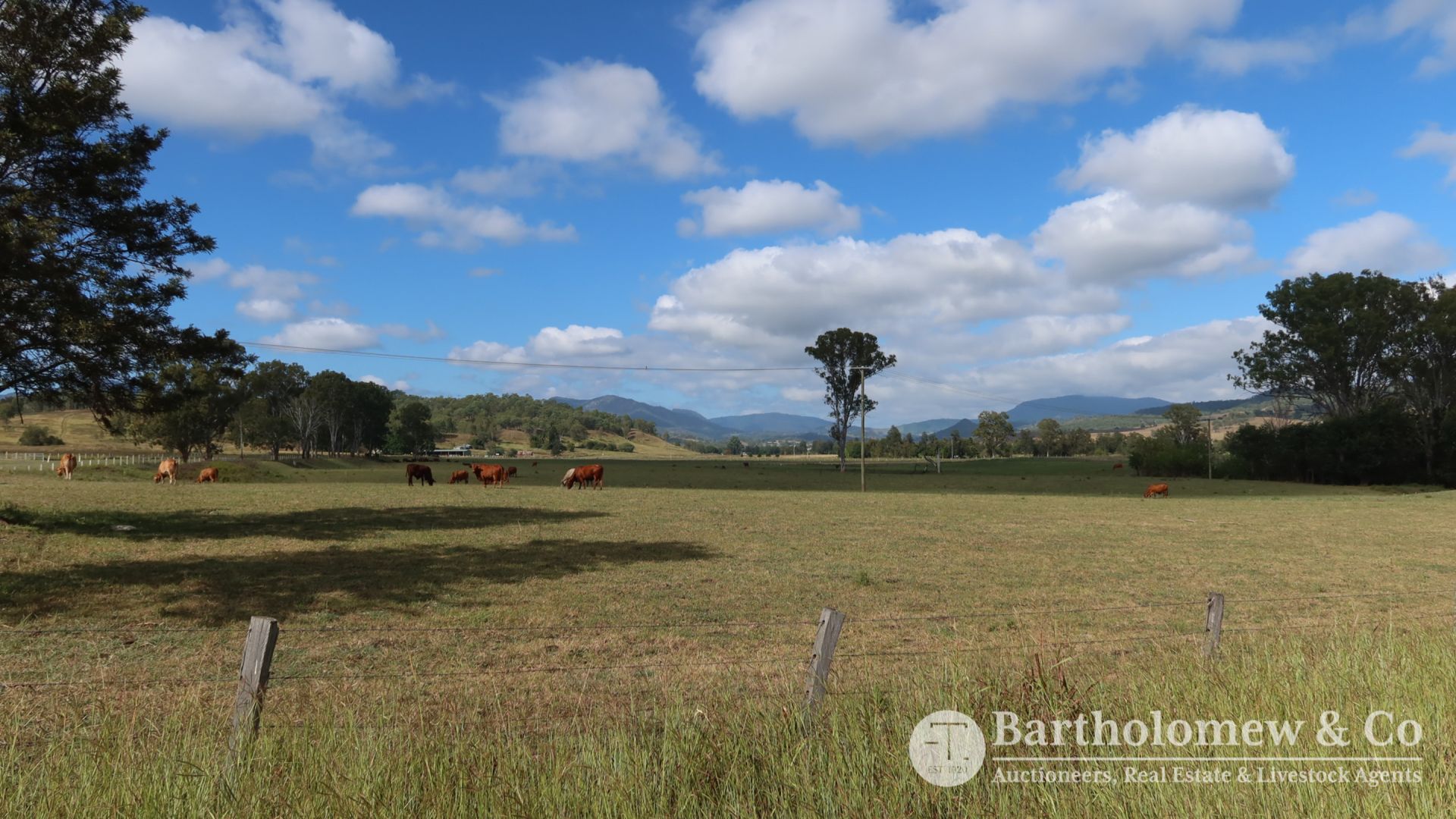 1459 Christmas Creek Road Christmas Creek QLD, Christmas Creek - Thumbnail 4