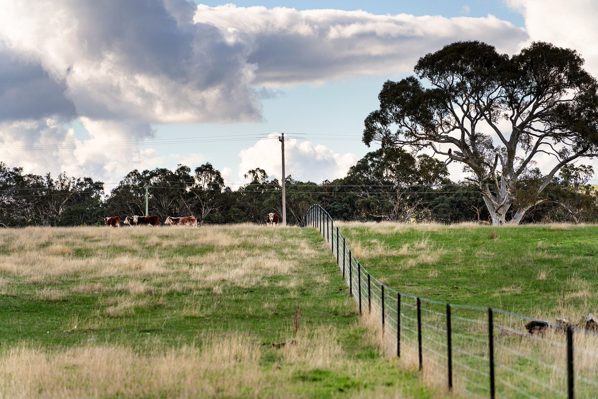 Lot 12/ Main Street, Buangor VIC 3375