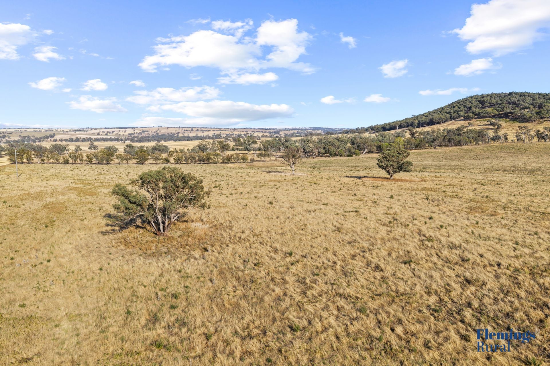 145 Cusack Road, Boorowa NSW, Boorowa - Thumbnail 4