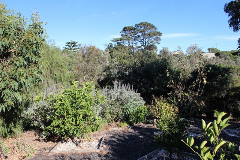 6 Alfred Crescent, Venus Bay VIC, Venus Bay - Thumbnail 4