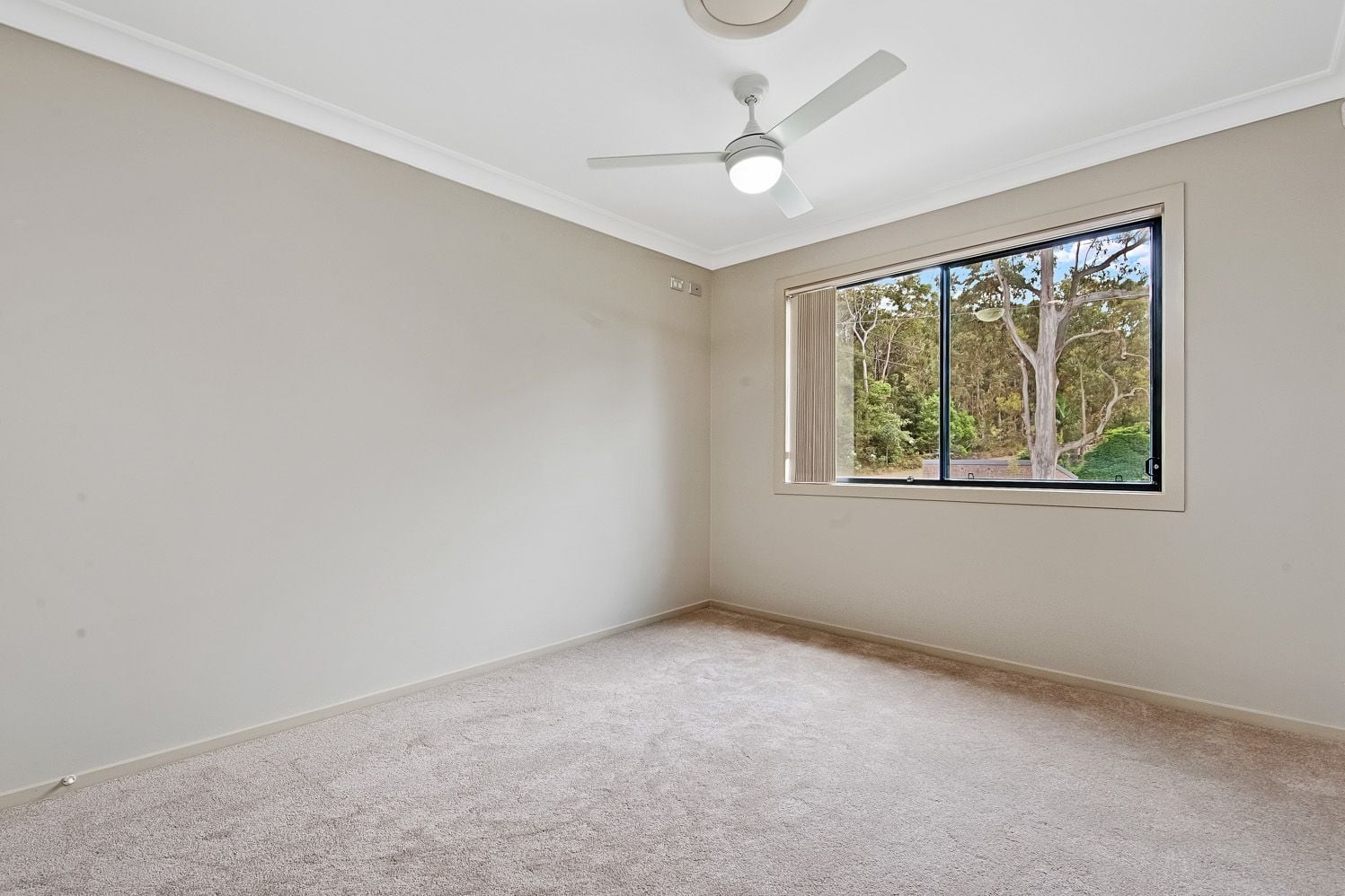2/37 Sefton Road, Thornleigh, Thornleigh - Thumbnail 7