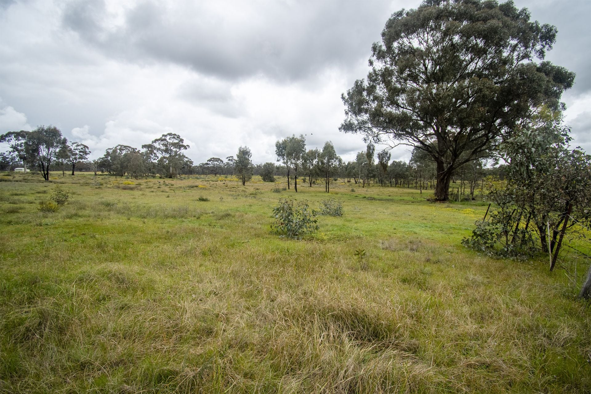 31/123 Logan Road, Alma - Thumbnail 2